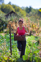 Woman working in the garden in the countryside