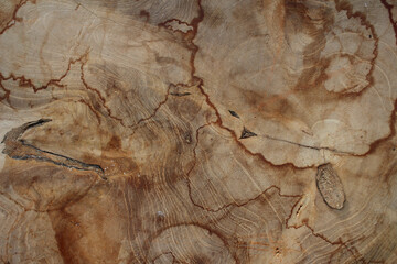 Holz Struktur vom Querschnitt eines Baumes mit auffälliger Maserung und Jahresringen