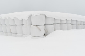 snow covered haystacks in winter