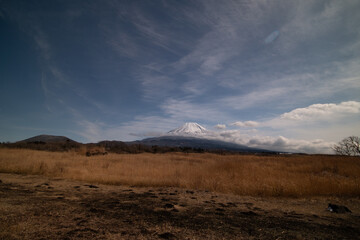 朝霧高原と富士山