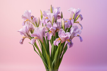 Naklejka na ściany i meble A bouquet of Iris on a simple light pink background