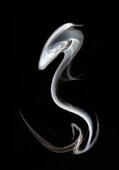 Obraz premium the snake, emulation, art abstract photo of fuzzy shapes of smoke on a black background.