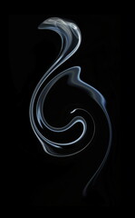  flamingo bird,  emulation,  art abstract photo of fuzzy shapes of smoke on a black background.