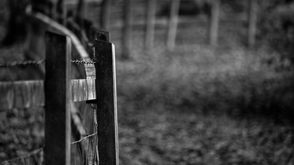 In monochrome hues, a fragment of a wooden fence is captured, embodying the rustic charm and enduring simplicity of rural landscapes, where each weathered plank tells a story of time and tradition - obrazy, fototapety, plakaty