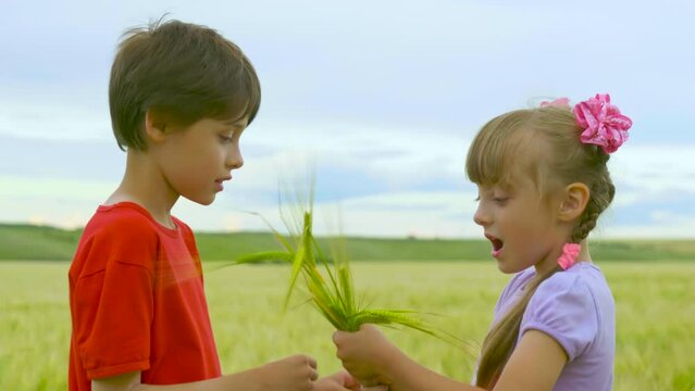 Brother Gives Sister a Small Sheaf of Wheat. Happy Sister Hugs Her Brother Tightly. Best Friends Boy and Girl Play in the Field. Happy Carefree Childhood. Summertime