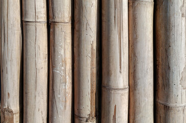 Texture bamboo wood wall pattern background