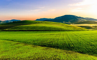 Fototapeta premium Scenic view at beautiful spring sunset in a green shiny field with green grass and golden sun rays, deep blue cloudy sky on a background , forest and country road, summer valley landscape
