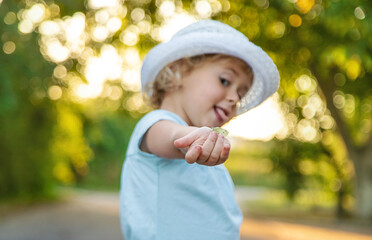 A child catches a butterfly in nature. Selective focus.