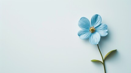 a single blue flower sitting on top of a white table next to a green stem and a single blue flower on top of a white table.