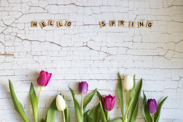 hello Spring, Springtime, tulip