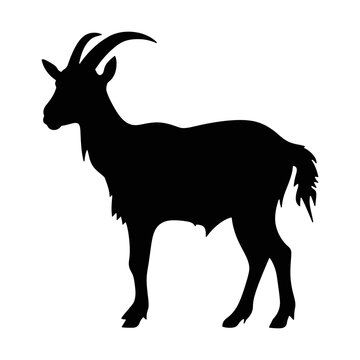 Silhouette of a goat, Goat silhouette icon, Goat hand drawn vector illustration with white background