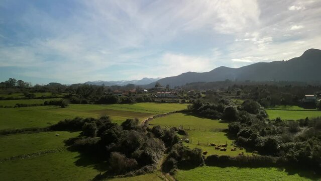 Vista aerea de unas praderas verdes vi&eacute;ndose unas vacas pastando con las monta&ntilde;as al fondo