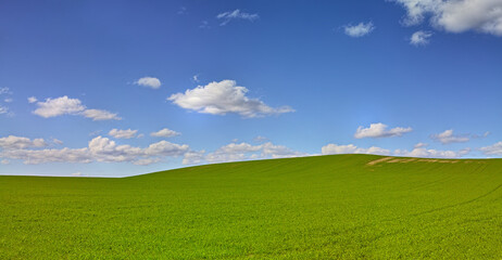 Horizon, clouds and blue sky at countryside with space, sustainability and nature in summer. Environment, beauty and field with grass for eco friendly, growth and landscape of earth with lawn