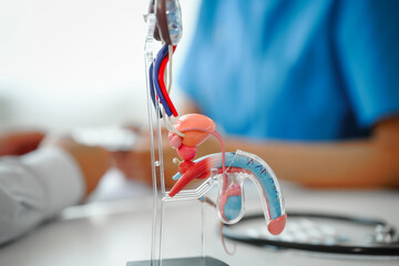 Meeting appointment, Prostate cancer, sexual dysfunction, In a clinic room, female doctor conducts...