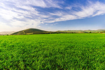 green landscape of spring field with green young grass and amazing hills on background
