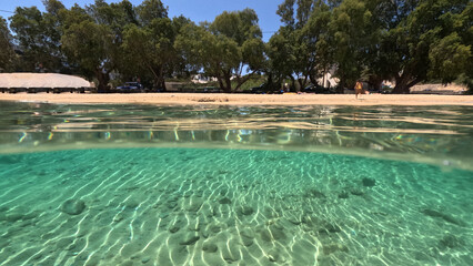 Fototapeta premium Underwater split photo of paradise crystal clear sea beach of Agios Georgios in main port of Irakleia island covered in Armirikia trees providing natural shade, small Cyclades, Greece