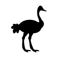 silhouette of a standing ostrich