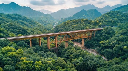 Aerial view of a large bridge crossing a beautiful forest. 