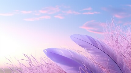 a close up of a bunch of purple feathers in a field with the sun in the sky in the background.