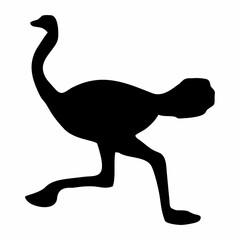 silhouette of a standing ostrich