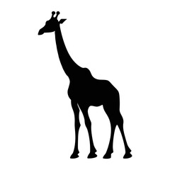 Fototapeta premium Giraffe silhouette vector, giraffe flat hand-drawn design, vector illustration with white background