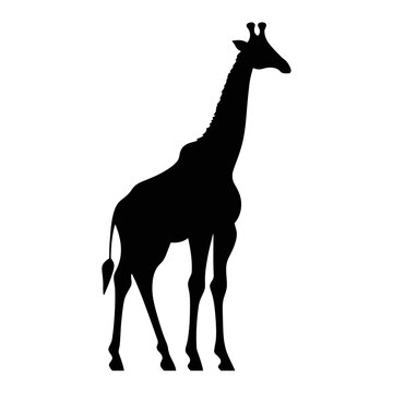 Giraffe silhouette vector, giraffe flat hand-drawn design, vector illustration with white background