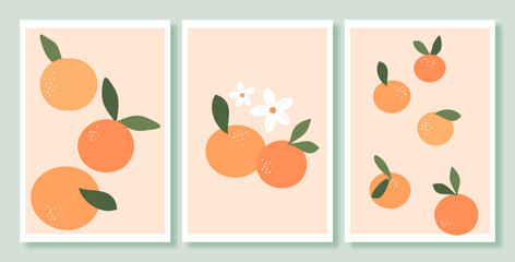 Obraz premium Orange fruit with green leaves and white flower on pastel green background vector. Fruit wall art decoration.
