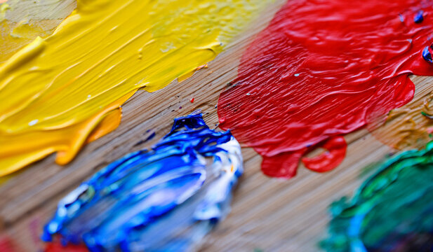 Vibrant Painter's Palette: Artistic Inspiration in Every Hue