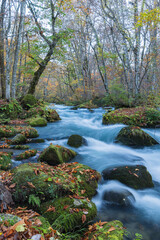 日本　青森県十和田市、十和田湖の子ノ口から焼山まで続く奥入瀬渓流の石ヶ戸の瀬と紅葉