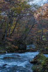 日本　青森県十和田市、十和田湖の子ノ口から焼山まで続く奥入瀬渓流の石ヶ戸の瀬と紅葉