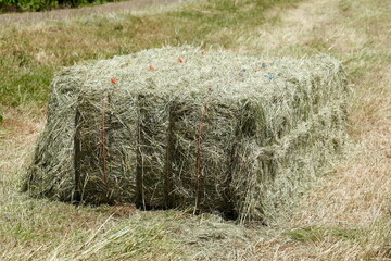 Strohballen auf einem Kornfeld, Niedersachsen, Deutschland