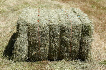 Strohballen auf einem Kornfeld, Niedersachsen, Deutschland