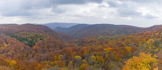 日本　青森県青森市の十和田八幡平国立公園内にある城ヶ倉大橋から見える城ヶ倉渓流の紅葉