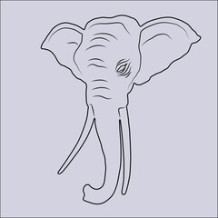 Elephant head line drawing illustration