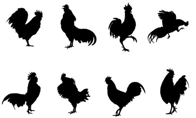 set of silhouettes rooster