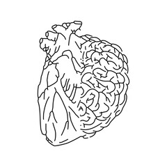 Half brain and half heart. Combine feelings and reason. - 748647412