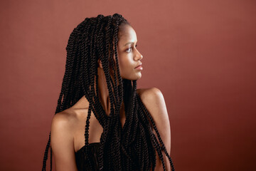 Back woman with Afro braids in light