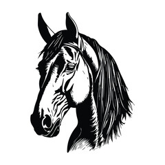 Horse silhouette animal black horses graphic vector illustration