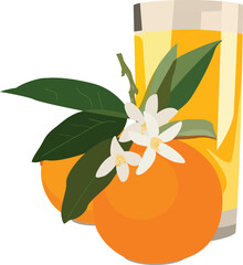 Oranges Glass of fresh juice