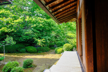 新緑が美しい京都鷹峯源光庵の風景
