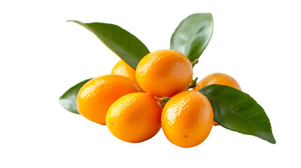 Kumquats isolated on clear transparent background 