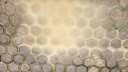 a close up of a hexagonal pattern on a concrete floor