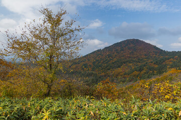 日本　青森県青森市にある岩木山展望所から見える風景と紅葉