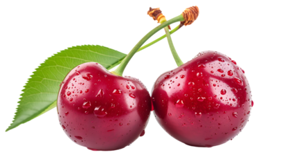 Pair of sweet cherry fruits with stems and leaf isolated on transparent background