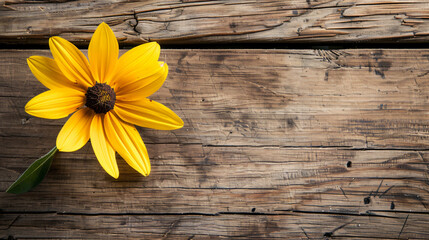 Close-up yellow flower on old wood table with copy space.