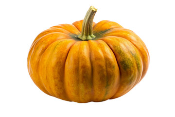 Obraz premium pumpkin on a transparent background