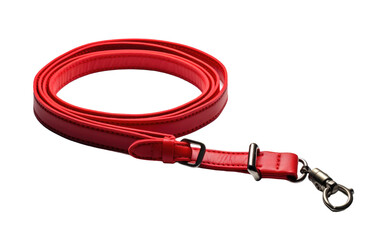 A red leash with a metal hook is laid out on a clean white background. The leash is bright red with a sturdy metal hook attached, perfect for securing a pet during walks or outings.