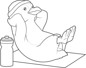 Penguin Fitness Sit ups Sports Animal Vector Graphic Art Illustration