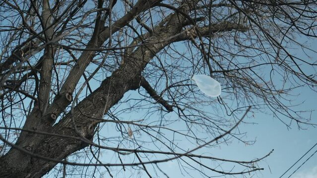 A white plastic bag hangs from a bare tree branch, scattered trash blown by the wind throughout the environment. Pollution of nature with plastic. Ecological problems.