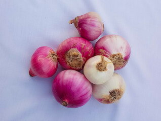 Onions on isolated with White Background.The onion, scientifically known as Allium cepa, is a...
